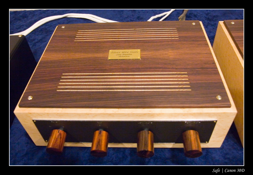 2007 - 03 - Salon hifi sofitel - 019